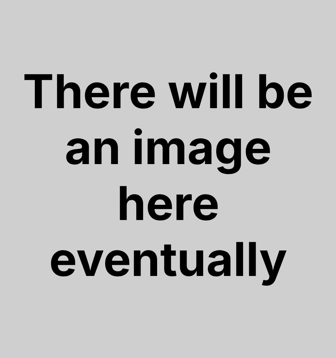 Placeholder A placeholder image that reads "There will be an image here eventually."